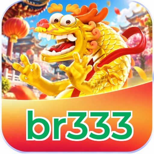 br333 Logo